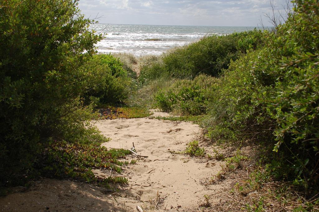 Award Winning Beach Front Retreat Франкстон Екстер'єр фото