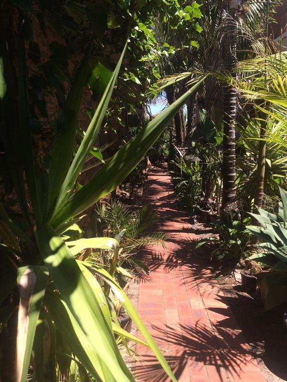 Award Winning Beach Front Retreat Франкстон Екстер'єр фото