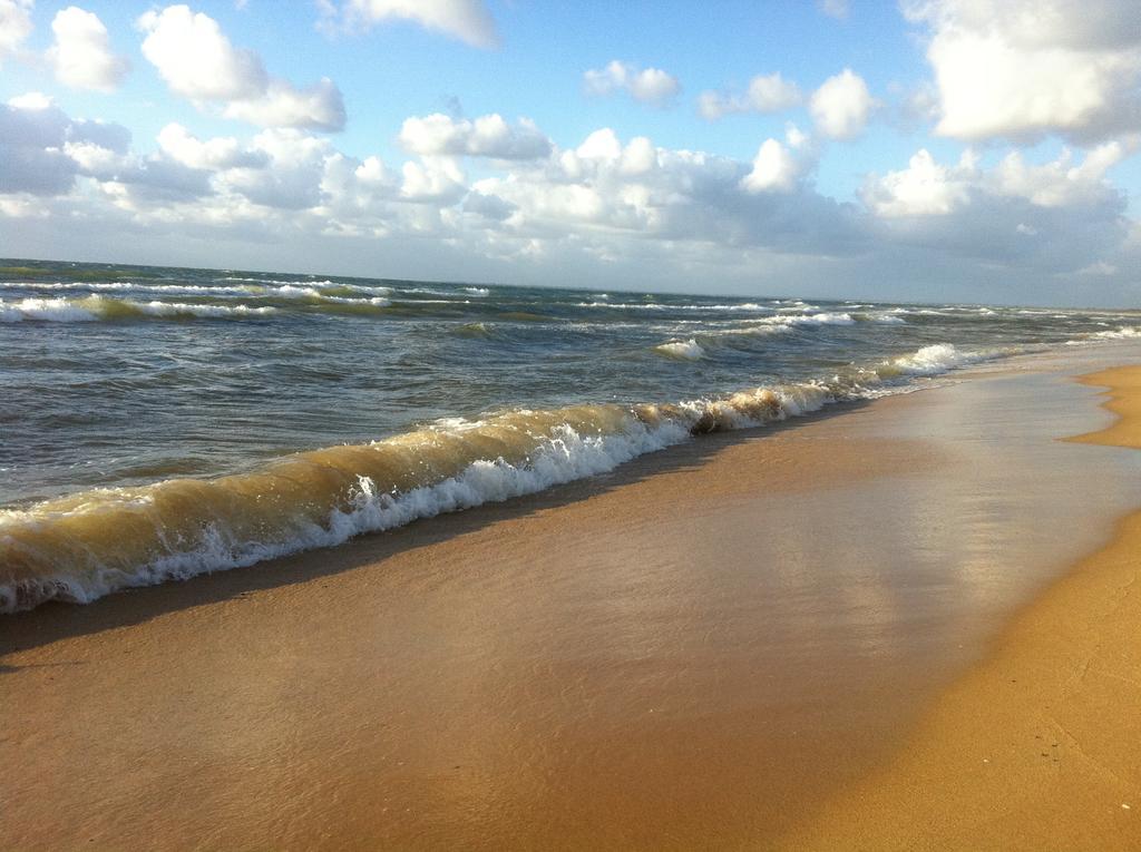 Award Winning Beach Front Retreat Франкстон Екстер'єр фото